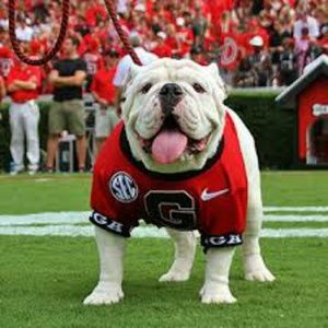 Meet your Posher, Gary